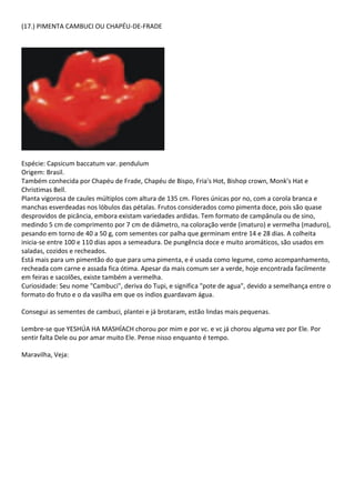 (17.) PIMENTA CAMBUCI OU CHAPÉU-DE-FRADE
Espécie: Capsicum baccatum var. pendulum
Origem: Brasil.
Também conhecida por Chapéu de Frade, Chapéu de Bispo, Fria's Hot, Bishop crown, Monk's Hat e
Christimas Bell.
Planta vigorosa de caules múltiplos com altura de 135 cm. Flores únicas por no, com a corola branca e
manchas esverdeadas nos lóbulos das pétalas. Frutos considerados como pimenta doce, pois são quase
desprovidos de picância, embora existam variedades ardidas. Tem formato de campânula ou de sino,
medindo 5 cm de comprimento por 7 cm de diâmetro, na coloração verde (imaturo) e vermelha (maduro),
pesando em torno de 40 a 50 g, com sementes cor palha que germinam entre 14 e 28 dias. A colheita
inicia-se entre 100 e 110 dias apos a semeadura. De pungência doce e muito aromáticos, são usados em
saladas, cozidos e recheados.
Está mais para um pimentão do que para uma pimenta, e é usada como legume, como acompanhamento,
recheada com carne e assada fica ótima. Apesar da mais comum ser a verde, hoje encontrada facilmente
em feiras e sacolões, existe também a vermelha.
Curiosidade: Seu nome "Cambuci", deriva do Tupi, e significa "pote de agua", devido a semelhança entre o
formato do fruto e o da vasilha em que os índios guardavam água.
Consegui as sementes de cambuci, plantei e já brotaram, estão lindas mais pequenas.
Lembre-se que YESHÚA HA MASHÍACH chorou por mim e por vc. e vc já chorou alguma vez por Ele. Por
sentir falta Dele ou por amar muito Ele. Pense nisso enquanto é tempo.
Maravilha, Veja:
 