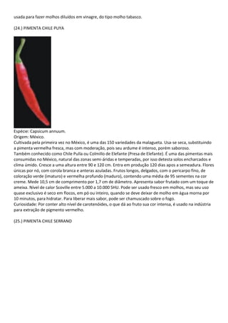 usada para fazer molhos diluídos em vinagre, do tipo molho tabasco.
(24.) PIMENTA CHILE PUYA
Espécie: Capsicum annuum.
Origem: México.
Cultivada pela primeira vez no México, é uma das 150 variedades da malagueta. Usa-se seca, substituindo
a pimenta vermelha fresca, mas com moderação, pois seu ardume é intenso, porém saboroso.
Também conhecido como Chile Pulla ou Colmillo de Elefante (Presa de Elefante). É uma das pimentas mais
consumidas no México, natural das zonas semi-áridas e temperadas, por isso detesta solos encharcados e
clima úmido. Cresce a uma altura entre 90 e 120 cm. Entra em produção 120 dias apos a semeadura. Flores
únicas por nó, com corola branca e anteras azuladas. Frutos longos, delgados, com o pericarpo fino, de
coloração verde (imaturo) e vermelha profundo (maduro), contendo uma média de 95 sementes na cor
creme. Mede 10,5 cm de comprimento por 1,7 cm de diâmetro. Apresenta sabor frutado com um toque de
ameixa. Nível de calor Scoville entre 5.000 a 10.000 SHU. Pode ser usado fresco em molhos, mas seu uso
quase exclusivo é seco em flocos, em pó ou inteiro, quando se deve deixar de molho em água morna por
10 minutos, para hidratar. Para liberar mais sabor, pode ser chamuscado sobre o fogo.
Curiosidade: Por conter alto nível de carotenóides, o que dá ao fruto sua cor intensa, é usado na indústria
para extração de pigmento vermelho.
(25.) PIMENTA CHILE SERRANO
 