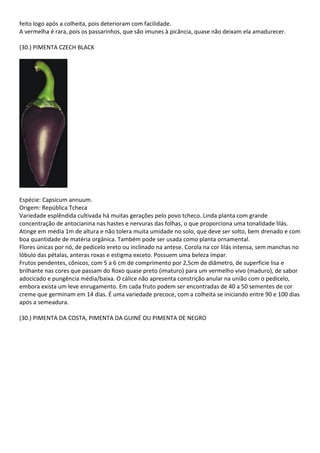 feito logo após a colheita, pois deterioram com facilidade.
A vermelha é rara, pois os passarinhos, que são imunes à picância, quase não deixam ela amadurecer.
(30.) PIMENTA CZECH BLACK
Espécie: Capsicum annuum.
Origem: República Tcheca
Variedade esplêndida cultivada há muitas gerações pelo povo tcheco. Linda planta com grande
concentração de antocianina nas hastes e nervuras das folhas, o que proporciona uma tonalidade lilás.
Atinge em média 1m de altura e não tolera muita umidade no solo, que deve ser solto, bem drenado e com
boa quantidade de matéria orgânica. Também pode ser usada como planta ornamental.
Flores únicas por nó, de pedicelo ereto ou inclinado na antese. Corola na cor lilás intensa, sem manchas no
lóbulo das pétalas, anteras roxas e estigma exceto. Possuem uma beleza ímpar.
Frutos pendentes, cônicos, com 5 a 6 cm de comprimento por 2,5cm de diâmetro, de superfície lisa e
brilhante nas cores que passam do Roxo quase preto (imaturo) para um vermelho vivo (maduro), de sabor
adocicado e pungência média/baixa. O cálice não apresenta constrição anular na união com o pedicelo,
embora exista um leve enrugamento. Em cada fruto podem ser encontradas de 40 a 50 sementes de cor
creme que germinam em 14 dias. É uma variedade precoce, com a colheita se iniciando entre 90 e 100 dias
após a semeadura.
(30.) PIMENTA DA COSTA, PIMENTA DA GUINÉ OU PIMENTA DE NEGRO
 