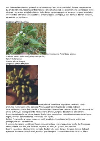 mas deve ser bem drenado, para evitar encharcamento. Seus frutos, medindo 2,5 cm de comprimento x
1,5 cm de diâmetro, nas cores verde (imaturo) e amarela (maduro), são extremamente aromáticos e muito
picantes, com aroma frutado lembrando limão. Embora sejam pequeninos, ao serem cortados, seu cheiro
invade todo o ambiente. Muito usado nos pratos típicos de sua região, a base de frutos do mar, e inteiros,
para conservas no vinagre.
(36.) PIMENTA DE GALINHA
Common name: Pimenta de galinha
Scientific name: Solanum nigrum ( Plant profile)
Family: Solanaceae
Shalom Adonai, Magna.
(37.) PIMENTA DE MACACO
Nome popular: pimenta de negroNome científico: Xylopia
aromática (I am.) MartFamília botânica: AnnonaceaeOrigem: Regiões de Cerrado do Brasil
Características da planta: Árvore até 6 m de altura com casca escura e copa rala. Folhas com pilosidade em
ambas as faces, de coloração verde-intensa. Flores brancas, surgindo de setembro a novembro.
Fruto: Forma irregular, de coloração esverdeada. Polpa avermelhada contendo sementes escuras, quase
negras, envoltas por arilo branco. Frutifica de abril a julho.
Cultivo: Prefere solos arenosos e ricos em matéria orgânica. Possui desenvolvimento lento e sua
propagação é feita por sementes.
A pimenta de macaco, também conhecida como pimenta de negro, faz parte da família das Anonáceas,
sendo parente, portanto, dos araticuns, da pinha, do biribá, da graviola e da pindaíba.
Ocorre, espontânea e basicamente, na região dos Cerrados e dos Campos Cerrados do meio do Brasil.
Apesar de apresentar uma distribuição ampla que abrange os Estados de Minas Gerais, Goiás, Mato
 