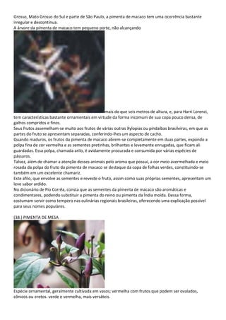 Grosso, Mato Grosso do Sul e parte de São Paulo, a pimenta de macaco tem uma ocorrência bastante
irregular e descontínua.
A árvore da pimenta de macaco tem pequeno porte, não alcançando
mais do que seis metros de altura, e, para Harri Lorenzi,
tem características bastante ornamentais em virtude da forma incomum de sua copa pouco densa, de
galhos compridos e finos.
Seus frutos assemelham-se muito aos frutos de várias outras Xylopias ou pindaíbas brasileiras, em que as
partes do fruto se apresentam separadas, conferindo-lhes um aspecto de cacho.
Quando maduros, os frutos da pimenta de macaco abrem-se completamente em duas partes, expondo a
polpa fina de cor vermelha e as sementes pretinhas, brilhantes e levemente enrugadas, que ficam ali
guardadas. Essa polpa, chamada arilo, é avidamente procurada e consumida por várias espécies de
pássaros.
Talvez, além de chamar a atenção desses animais pelo aroma que possui, a cor meio avermelhada e meio
rosada da polpa do fruto da pimenta de macaco se destaque da copa de folhas verdes, constituindo-se
também em um excelente chamariz.
Este afilo, que envolve as sementes e reveste o fruto, assim como suas próprias sementes, apresentam um
leve sabor ardido.
No dicionário de Pio Corrêa, consta que as sementes da pimenta de macaco são aromáticas e
condimentares, podendo substituir a pimenta do reino ou pimenta da Índia moída. Dessa forma,
costumam servir como tempero nas culinárias regionais brasileiras, oferecendo uma explicação possível
para seus nomes populares.
(38.) PIMENTA DE MESA
Espécie ornamental, geralmente cultivada em vasos; vermelha com frutos que podem ser ovalados,
cônicos ou eretos. verde e vermelha, mais versáteis.
 