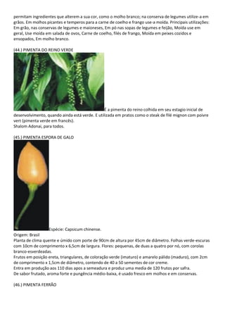 permitam ingredientes que alterem a sua cor, como o molho branco; na conserva de legumes utilize-a em
grãos. Em molhos picantes e temperos para a carne de coelho e frango use-a moída. Principais utilizações:
Em grão, nas conservas de legumes e maioneses, Em pó nas sopas de legumes e feijão, Moída use em
geral, Use moída em salada de ovos, Carne de coelho, filés de frango, Moída em peixes cozidos e
ensopados, Em molho branco.
(44.) PIMENTA DO REINO VERDE
É a pimenta do reino colhida em seu estagio inicial de
desenvolvimento, quando ainda está verde. E utilizada em pratos como o steak de filé mignon com poivre
vert (pimenta verde em francês).
Shalom Adonai, para todos.
(45.) PIMENTA ESPORA DE GALO
Espécie: Capsicum chinense.
Origem: Brasil
Planta de clima quente e úmido com porte de 90cm de altura por 45cm de diâmetro. Folhas verde-escuras
com 10cm de comprimento x 6,5cm de largura. Flores: pequenas, de duas a quatro por nó, com corolas
branco-esverdeadas.
Frutos em posição ereta, triangulares, de coloração verde (imaturo) e amarelo pálido (maduro), com 2cm
de comprimento x 1,5cm de diâmetro, contendo de 40 a 50 sementes de cor creme.
Entra em produção aos 110 dias apos a semeadura e produz uma media de 120 frutos por safra.
De sabor frutado, aroma forte e pungência médio-baixa, é usado fresco em molhos e em conservas.
(46.) PIMENTA FERRÃO
 
