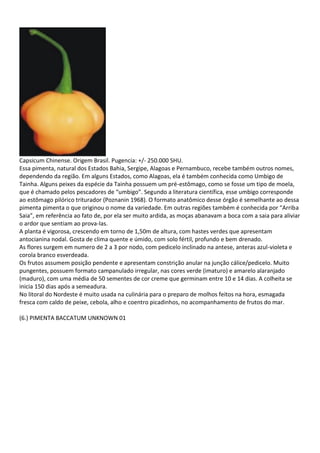 Capsicum Chinense. Origem Brasil. Pugencia: +/- 250.000 SHU.
Essa pimenta, natural dos Estados Bahia, Sergipe, Alagoas e Pernambuco, recebe também outros nomes,
dependendo da região. Em alguns Estados, como Alagoas, ela é também conhecida como Umbigo de
Tainha. Alguns peixes da espécie da Tainha possuem um pré-estômago, como se fosse um tipo de moela,
que é chamado pelos pescadores de “umbigo”. Segundo a literatura científica, esse umbigo corresponde
ao estômago pilórico triturador (Poznanin 1968). O formato anatômico desse órgão é semelhante ao dessa
pimenta pimenta o que originou o nome da variedade. Em outras regiões também é conhecida por “Arriba
Saia”, em referência ao fato de, por ela ser muito ardida, as moças abanavam a boca com a saia para aliviar
o ardor que sentiam ao prova-las.
A planta é vigorosa, crescendo em torno de 1,50m de altura, com hastes verdes que apresentam
antocianina nodal. Gosta de clima quente e úmido, com solo fértil, profundo e bem drenado.
As flores surgem em numero de 2 a 3 por nodo, com pedicelo inclinado na antese, anteras azul-violeta e
corola branco esverdeada.
Os frutos assumem posição pendente e apresentam constrição anular na junção cálice/pedicelo. Muito
pungentes, possuem formato campanulado irregular, nas cores verde (imaturo) e amarelo alaranjado
(maduro), com uma média de 50 sementes de cor creme que germinam entre 10 e 14 dias. A colheita se
inicia 150 dias após a semeadura.
No litoral do Nordeste é muito usada na culinária para o preparo de molhos feitos na hora, esmagada
fresca com caldo de peixe, cebola, alho e coentro picadinhos, no acompanhamento de frutos do mar.
(6.) PIMENTA BACCATUM UNKNOWN 01
 