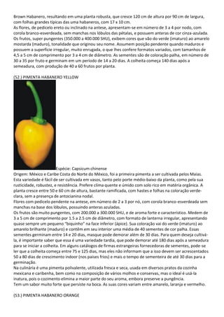 Brown Habanero, resultando em uma planta robusta, que cresce 120 cm de altura por 90 cm de largura,
com folhas grandes típicas das uma habaneros, com 17 x 10 cm.
As flores, de pedicelo ereto ou inclinado na antese, apresentam-se em número de 3 a 4 por nodo, com
corola branco-esverdeada, sem manchas nos lóbulos das pétalas, e possuem anteras de cor cinza-azulada.
Os frutos, super pungentes (350.000 a 400.000 SHU), exibem cores que vão do verde (imaturo) ao amarelo
mostarda (maduro), tonalidade que originou seu nome. Assumem posição pendente quando maduros e
possuem a superfície irregular, muito enrugada, o que lhes confere formatos variados, com tamanhos de
4,5 a 5 cm de comprimento por 3 a 4 cm de diâmetro. As sementes são de coloração palha, em número de
30 a 35 por fruto e germinam em um período de 14 a 20 dias. A colheita começa 140 dias após a
semeadura, com produção de 40 a 60 frutos por planta.
(52.) PIMENTA HABANERO YELLOW
Espécie: Capsicum chinense
Origem: México e Caribe Costa do Norte do México, foi a primeira pimenta a ser cultivada pelos Maias.
Esta variedade é fácil de ser cultivada em vasos, tanto pelo porte médio-baixo da planta, como pela sua
rusticidade, robustez, e resistência. Prefere clima quente e úmido com solo rico em matéria orgânica. A
planta cresce entre 50 e 60 cm de altura, bastante ramificada, com hastes e folhas na coloração verde-
clara, sem a presença de antocianina nodal.
Flores com pedicelo pendente na antese, em número de 2 a 3 por nó, com corola branco-esverdeada sem
manchas na base dos lóbulos, possuindo anteras azuladas.
Os frutos são muito pungentes, com 200.000 a 300.000 SHU, e de aroma forte e característico. Medem de
3 a 5 cm de comprimento por 1.5 a 2.5 cm de diâmetro, com formato de lanterna irregular, apresentando
quase sempre um pequeno “biquinho” na face inferior (ápice). Sua coloração vai do verde (imaturo) ao
amarelo brilhante (maduro) e contêm em seu interior uma média de 40 sementes de cor palha. Essas
sementes germinam entre 14 e 20 dias, masque pode demorar além de 30 dias. Para quem deseja cultivá-
la, é importante saber que essa é uma variedade tardia, que pode demorar até 180 dias após a semeadura
para se iniciar a colheita. Em alguns catálogos de firmas estrangeiras fornecedoras de sementes, pode-se
ler que a colheita começa entre 75 e 125 dias, mas eles não informam que a isso devem ser acrescentados
50 a 80 dias de crescimento indoor (nos paises frios) e mais o tempo de sementeira de até 30 dias para a
germinação.
Na culinária é uma pimenta polivalente, utilizada fresca e seca, usada em diversos pratos da cozinha
mexicana e caribenha, bem como na composição de vários molhos e conservas, mas o ideal é usá-la
inatura, pois o cozimento elimina a maior parte do seu aroma, embora preserve a pungência.
Tem um sabor muito forte que persiste na boca. As suas cores variam entre amarelo, laranja e vermelho.
(53.) PIMENTA HABANERO ORANGE
 