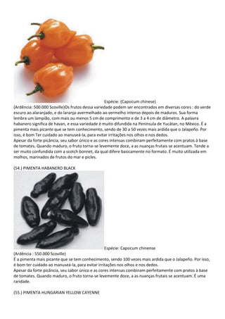 Espécie: (Capsicum chinese)
(Ardência: 500.000 Scoville)Os frutos dessa variedade podem ser encontrados em diversas cores : do verde
escuro ao alaranjado, e do laranja-avermelhado ao vermelho intenso depois de maduros. Sua forma
lembra um lampião, com mais ou menos 5 cm de comprimento e de 3 a 4 cm de diâmetro. A palavra
habanero significa de havan, e essa variedade é muito difundida na Península de Yucátan, no México. É a
pimenta mais picante que se tem conhecimento, sendo de 30 a 50 vezes mais ardida que o Jalapeño. Por
isso, é bom Ter cuidado ao manuseá-la, para evitar irritações nos olhos e nos dedos.
Apesar da forte picância, seu sabor único e as cores intensas combinam perfeitamente com pratos à base
de tomates. Quando maduro, o fruto torna-se levemente doce, a as nuanças frutais se acentuam. Tende a
ser muito confundida com a scotch bonnet, da qual difere basicamente no formato. É muito utilizada em
molhos, marinados de frutos do mar e picles.
(54.) PIMENTA HABANERO BLACK
Espécie: Capsicum chinense
(Ardência : 550.000 Scoville)
É a pimenta mais picante que se tem conhecimento, sendo 100 vezes mais ardida que o Jalapeño. Por isso,
é bom ter cuidado ao manuseá-la, para evitar irritações nos olhos e nos dedos.
Apesar da forte picância, seu sabor único e as cores intensas combinam perfeitamente com pratos à base
de tomates. Quando maduro, o fruto torna-se levemente doce, a as nuanças frutais se acentuam. É uma
raridade.
(55.) PIMENTA HUNGARIAN YELLOW CAYENNE
 