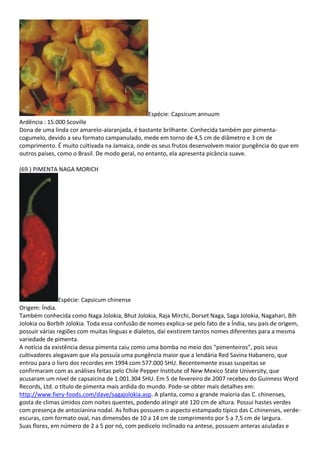 Espécie: Capsicum annuum
Ardência : 15.000 Scoville
Dona de uma linda cor amarelo-alaranjada, é bastante brilhante. Conhecida também por pimenta-
cogumelo, devido a seu formato campanulado, mede em torno de 4,5 cm de diâmetro e 3 cm de
comprimento. É muito cultivada na Jamaica, onde os seus frutos desenvolvem maior pungência do que em
outros países, como o Brasil. De modo geral, no entanto, ela apresenta picância suave.
(69.) PIMENTA NAGA MORICH
Espécie: Capsicum chinense
Origem: Índia.
Também conhecida como Naga Jolokia, Bhut Jolokia, Raja Mirchi, Dorset Naga, Saga Jolokia, Nagahari, Bih
Jolokia ou Borbih Jolokia. Toda essa confusão de nomes explica-se pelo fato de a Índia, seu país de origem,
possuir várias regiões com muitas línguas e dialetos, daí existirem tantos nomes diferentes para a mesma
variedade de pimenta.
A notícia da existência dessa pimenta caiu como uma bomba no meio dos “pimenteiros”, pois seus
cultivadores alegavam que ela possuía uma pungência maior que a lendária Red Savina Habanero, que
entrou para o livro dos recordes em 1994 com 577.000 SHU. Recentemente essas suspeitas se
confirmaram com as análises feitas pelo Chile Pepper Institute of New Mexico State University, que
acusaram um nível de capsaicina de 1.001.304 SHU. Em 5 de fevereiro de 2007 recebeu do Guinness Word
Records, Ltd. o título de pimenta mais ardida do mundo. Pode-se obter mais detalhes em:
http://www.fiery-foods.com/dave/sagajolokia.asp. A planta, como a grande maioria das C. chinenses,
gosta de climas úmidos com noites quentes, podendo atingir até 120 cm de altura. Possui hastes verdes
com presença de antocianina nodal. As folhas possuem o aspecto estampado típico das C.chinenses, verde-
escuras, com formato oval, nas dimensões de 10 a 14 cm de comprimento por 5 a 7,5 cm de largura.
Suas flores, em número de 2 a 5 por nó, com pedicelo inclinado na antese, possuem anteras azuladas e
 