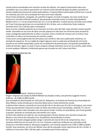 corolas branco-esverdeadas sem manchas na base dos lóbulos. Um aspecto interessante sobre essa
variedade é que suas anteras apresentam um número muito reduzido de grãos de polém, portanto em
plantas isoladas da presença de insetos polinizadores, é imprescindível a polinização artificial com o uso de
um cotonete, pois sem isso a produção de frutos será muito reduzida.
Possui frutos pendentes, alongados, de superfície irregular um tanto enrugada, nas cores verde escura
(imaturo) a vermelho brilhante (maduro), apresentando constrição anular na junção cálice/pedicelo.
Medem entre 5 e 7 cm de comprimento por 2,5 a 3 cm de diâmetro. Contêm poucas sementes (uma média
de 15 por fruto) que germinam em um período de 10 e 14 dias, com a colheita dos frutos maduros
iniciando entre 115 a 120 dias após a semeadura.
Deve-se tomar cuidados especiais ao se manusear os frutos, pois são hiper super picantes mesmo quando
verdes. Aconselha-se usar luvas de látex com boa espessura e não tocar em nenhuma parte sensível do
corpo, protegendo especialmente os olhos e mucosas. Evite o contato de crianças com os frutos e lave
muito bem as mãos e os instrumentos de cozinhas usados.
Frutos assim com pungência tão alta têm pouco uso culinário e são mais usados pelas indústrias, na
extração de capsaicina. Em sua região de origem algumas vezes á usado para produção de caril muito
picante ou em molhos preparados a partir de um pedacinho da pimenta para uma grande quantidade de
molho de tomates. Agora, se você é muito corajoso e deseja realmente usa-la em sua cozinha, pode utilizá-
la como qualquer Habanero, lembrando apenas que ela pode ser até 5 vezes mais forte.
(70.) PIMENTA NUMEX BIG JIM
Espécie: Capsicum annuum
Origem: Originaria do estado do NOVO MEXICO nos Estados Unidos, esta pimenta é gigante mesmo.
Ardência : de 4.000 a 6.000 Scoville
Essa variedade foi desenvolvida em 1975 pelo Dr. Nakayama, no Instituto da Pimenta da Universidade do
Novo México, tendo entrado para o Guinness Book como a maior pimenta do mundo.
A planta é bem robusta, crescendo em torno de 60 a 65 cm de altura por 45 a 60 cm de largura, com ramos
eretos que apresentam antocianina nodal. As folhas são verde-escuras lanceoladas, medindo 7.5 x 16 cm.
Prefere solos soltos e bem drenados com clima pouco úmido. Frutifica em abundância, com frutos grandes
e pesados, devendo ser tutorada para não tombar com o peso.
As flores são solitárias em cada nó, com corolas grandes e branco-leitosas sem manchas na base dos
lóbulos e com anteras de coloração cinza. Os pedicelos são pendentes na antese.
Os frutos de formato alongado podem atingir o tamanho de mais de 30 cm de comprimento, mas o
tamanho médio fica em torno do 19.5 x 6.3 cm. Possuem a pele lisa e brilhante nas colorações verde
(imaturo) e vermelha (maduro). São pouco pungentes, com nível de capsaicina de 2.500 a 3.000 unidades
Scoville. Suas sementes, em torno de 140 por fruto são de coloração creme e germinam de 10 a 14 dias. A
colheita se inicia entre 100 e 120 dias após a semeadura para frutos maduros.
 