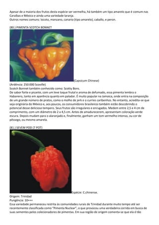 Apesar de a maioria dos frutos desta espécie ser vermelha, há também um tipo amarelo que é comum nas
Caraíbas e México e ainda uma variedade laranja.
Outros nomes comuns: locoto, manzano, canario (tipo amarelo), caballo, e peron.
(80.) PIMENTA SCOTCH BONNET
(Capsicum Chinese)
(Ardência: 250.000 Scoville)
Scotch Bonnet também conhecido como: Scotty Bons.
De sabor forte e picante, com um leve toque frutal e aroma de defumado, essa pimenta lembra o
Habanero, tanto em aparência quanto em paladar. É muito popular na Jamaica, onde entra na composição
de um grande número de pratos, como o molho de jerk e o curries caribenhos. No entanto, acredita-se que
seja originária do México e, aos poucos, os consumidores brasileiros também estão descobrindo o
potencial desse delicioso tempero. Seus frutos são irregulares e enrugados. Medem entre 2,5 e 4 cm de
comprimento, com um diâmetro de 2 a 4,5 cm. Antes de amadurecerem, apresentam coloração verde
escura. Depois mudam para o alaranjado e, finalmente, ganham um tom vermelho intenso, ou cor de
pêssego, ou mesmo amarela.
(81.) SEVEM POD (7 POT)
Espécie: C.chinense.
Origem: Trinidad
Pungência: 10+++
Essa variedade permaneceu restrita às comunidades rurais de Trinidad durante muito tempo até ser
recentemente classificada como “Pimenta Nuclear”, o que provocou uma verdadeira corrida em busca de
suas sementes pelos colecionadores de pimentas. Em sua região de origem comenta-se que ela é tão
 