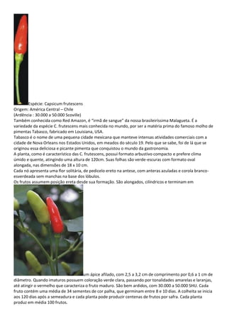 Espécie: Capsicum frutescens
Origem: América Central – Chile
(Ardência : 30.000 a 50.000 Scoville)
Também conhecida como Red Amazon, é “irmã de sangue” da nossa brasileiríssima Malagueta. É a
variedade da espécie C. frutescens mais conhecida no mundo, por ser a matéria prima do famoso molho de
pimentas Tabasco, fabricado em Louisiana, USA.
Tabasco é o nome de uma pequena cidade mexicana que manteve intensas atividades comerciais com a
cidade de Nova Orleans nos Estados Unidos, em meados do século 19. Pelo que se sabe, foi de lá que se
originou essa deliciosa e picante pimenta que conquistou o mundo da gastronomia.
A planta, como é característico das C. frutescens, possui formato arbustivo compacto e prefere clima
úmido e quente, atingindo uma altura de 120cm. Suas folhas são verde-escuras com formato oval
alongada, nas dimensões de 18 x 10 cm.
Cada nó apresenta uma flor solitária, de pedicelo ereto na antese, com anteras azuladas e corola branco-
esverdeada sem manchas na base dos lóbulos.
Os frutos assumem posição ereta desde sua formação. São alongados, cilíndricos e terminam em
um ápice afilado, com 2,5 a 3,2 cm de comprimento por 0,6 a 1 cm de
diâmetro. Quando imaturos possuem coloração verde clara, passando por tonalidades amarelas e laranjas,
até atingir o vermelho que caracteriza o fruto maduro. São bem ardidos, com 30.000 a 50.000 SHU. Cada
fruto contém uma média de 34 sementes de cor palha, que germinam entre 8 e 10 dias. A colheita se inicia
aos 120 dias após a semeadura e cada planta pode produzir centenas de frutos por safra. Cada planta
produz em média 100 frutos.
 