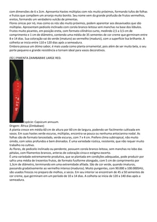 com dimensões de 6 x 2cm. Apresenta Hastes múltiplas com nós muito próximos, formando tufos de folhas
e frutos que compõem um arranjo muito bonito. Seu nome vem da grande profusão de frutos vermelhos,
eretos, formando um verdadeiro vulcão de pimentas.
Flores únicas por nó, mas como os nós são muito próximos, podem aparentar aos desavisados que são
múltiplas. Apresentam pedicelo inclinado com corola branco-leitosa sem manchas na base dos lóbulos.
Frutos muito picantes, em posição ereta, com formato cilíndrico curto, medindo 2,5 a 3,5 cm de
comprimento e 1 cm de diâmetro, contendo uma média de 35 sementes de cor creme que germinam entre
8 e 14 dias. Sua coloração vai do verde (imaturo) ao vermelho (maduro), com a superfície lisa brilhante. A
colheita se inicia entre 110 e 120 dias após a semeadura.
Embora possua um ótimo sabor, é mais usada como planta ornamental, pois além de ser muito bela, o seu
porte pequeno e grande resistência a tornam ideal para vasos decorativos.
(92.) PIMENTA ZAIMBABWE LARGE RED.
Espécie: Capsicum annuum.
Origem: África (Zimbabwe)
A planta cresce em média 60 cm de altura por 60 cm de largura, podendo ser facilmente cultivada em
vasos. Em suas hastes verde escuras, múltiplas, encontra-se pouca ou nenhuma antocianina nodal. As
folhas são de formato lanceolado, verde escuras, com 7 x 4 cm. Prefere clima subtropical, não muito
úmido, com solos profundos e bem drenados. É uma variedade rústica, resistente, que não requer muito
trabalho no cultivo.
As flores, de pedicelo inclinado ou pendente, possuem corola branco-leitosa, sem manchas no lobo das
pétalas, com filamentos brancos, anteras de coloração cinza e estigma excerto.
É uma variedade extremamente produtiva, que se plantada em condições adequadas, pode produzir por
safra uma média de trezentos frutos, de formato fusiforme alongado, com 5 cm de comprimento por
1,3cm de diâmetro, terminando em uma extremidade afilada. São de cor verde, quando imaturos,
passando gradativamente ao vermelho intenso (maduros). Muito pungentes, com 90.000 a 100.000SHU,
são usados frescos no preparo de molhos, e secos. Em seu interior se encontram de 45 a 50 sementes de
cor creme, que germinam em um período de 10 a 14 dias. A colheita se inicia de 120 a 140 dias após a
semeadura.
 