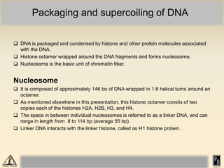 940772037Eukaryotic chromosome organization_compressed.pdf