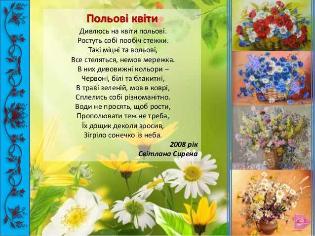 польові квіти україни фото і назви онлайн польові квіти україни фото і назви