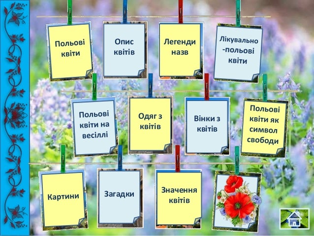 польові квіти україни фото і назви онлайн польові квіти україни фото і назви