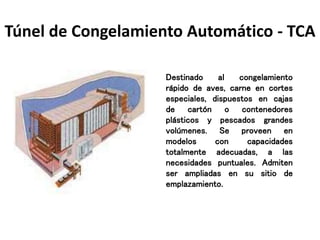 Túnel de Congelamiento Automático - TCA
Destinado al congelamiento
rápido de aves, carne en cortes
especiales, dispuestos en cajas
de cartón o contenedores
plásticos y pescados grandes
volúmenes. Se proveen en
modelos con capacidades
totalmente adecuadas, a las
necesidades puntuales. Admiten
ser ampliadas en su sitio de
emplazamiento.
 
