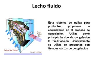 Lecho fluido
Este sistema se utiliza para
productos propensos a
apelmazarse en el proceso de
congelacion. Utiliza como
principio basico de congelacion
la fluidificacion. Generalmente
se utiliza en productos con
tiempos cortos de congelacion
 
