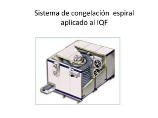 Sistema de congelación espiral
aplicado al IQF
 