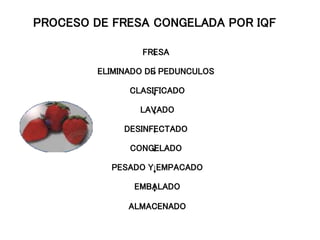 FRESA
ELIMINADO DE PEDUNCULOS
CLASIFICADO
LAVADO
DESINFECTADO
CONGELADO
PESADO Y EMPACADO
EMBALADO
ALMACENADO
PROCESO DE FRESA CONGELADA POR IQF
 