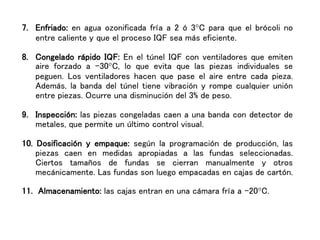 7. Enfriado: en agua ozonificada fría a 2 ó 3°C para que el brócoli no
entre caliente y que el proceso IQF sea más eficiente.
8. Congelado rápido IQF: En el túnel IQF con ventiladores que emiten
aire forzado a –30°C, lo que evita que las piezas individuales se
peguen. Los ventiladores hacen que pase el aire entre cada pieza.
Además, la banda del túnel tiene vibración y rompe cualquier unión
entre piezas. Ocurre una disminución del 3% de peso.
9. Inspección: las piezas congeladas caen a una banda con detector de
metales, que permite un último control visual.
10. Dosificación y empaque: según la programación de producción, las
piezas caen en medidas apropiadas a las fundas seleccionadas.
Ciertos tamaños de fundas se cierran manualmente y otros
mecánicamente. Las fundas son luego empacadas en cajas de cartón.
11. Almacenamiento: las cajas entran en una cámara fría a –20°C.
 