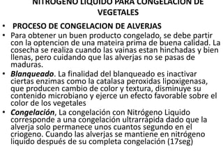 NITROGENO LIQUIDO PARA CONGELACION DE
VEGETALES
• PROCESO DE CONGELACION DE ALVERJAS
• Para obtener un buen producto congelado, se debe partir
con la optencion de una mateira prima de buena calidad. La
cosecha se realiza cuando las vainas estan hinchadas y bien
llenas, pero cuidando que las alverjas no se pasas de
maduras.
• Blanqueado. La finalidad del blanqueado es inactivar
ciertas enzimas como la catalasa peroxidas lipoxigenasa,
que producen cambio de color y textura, disminuye su
contenido microbiano y ejerce un efecto favorable sobre el
color de los vegetales
• Congelación, La congelación con Nitrógeno Liquido
corresponde a una congelación ultrarrápida dado que la
alverja solo permanece unos cuantos segundo en el
criogeno. Cuando las alverjas se mantiene en nitrógeno
liquido después de su completa congelación (17seg)
 
