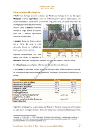 RAFEIRO DO ALENTEJO
VERA LÚCIA GIL INÁCIO
Curso Auxiliar Veterinária • O Cão – Origem e classificação biológica 7
Características Morfológicas
O Rafeiro do Alentejo, também conhecido por Mastim do Alentejo, é um cão de origem
Molósside e forma hipermétrica. Tem um perfil convexilíneo (pouco acentuado) e um
andamento forte do tipo mastim. É um animal corpulento, forte, um tanto compacto e de
altura pouco inferior ao comprimento
(relação 0.89). O peito do Rafeiro do
Alentejo é largo, abaixo do codilho,
vazio sub – esternal ligeiramente
inferior à altura do peito.
A pelagem deste cão é como iremos
ver a frente de curta a meio
comprida, branca ou malhada de
branco, raramente uniforme.
Algumas características são mais
óbvias que outras. Por exemplo as
orelhas do Rafeiro do Alentejo são pequenas e pouco carnudas com inserção média.
Os olhos são pequenos, elípticos e horizontais (cor acastanhada a âmbar).
A sua cabeça é volumosa, maciça, abaulada com as arcadas supra ciliares não salientes.
As faces laterais são musculadas de masséteres marcados e o chanfro do animal é curto e
grosso.
Medidas7 Machos Fêmeas
Comprimento total da cabeça 28-30 27-28
Comprimento do crânio 17-18 16-17
Comprimento do chanfro 11-12 10-11
Largura do crânio 15-16 13-14
Largura do chanfro 7,5-8 6,5-7
Índice cefálico total 49-52 48-51
Relação comprimento do chanfro/
comprimento do crânio
Aprox. 2/3
Relação comprimento total da cabeça/
largura do crânio
Aprox. 2/1
O genótipo criado para a caracterização do Rafeiro do Alentejo, serve para referenciação
da raça, assim como para tentativa de manter a coerência nas características dos animais.
7 Estalão nº 96 da F.C.I. - A F.C.I. - Federação Cinológica Internacional, a entidade que coordena a
canicultura a nível internacional e centraliza os estalões das raças elaborados a nível nacional
pelas Sociedades Caninas centrais de cada país.
Machos Fêmeas
Altura 66 – 74 cm 64 – 70 cm
Peso 40 – 50 kg 35 – 50 kg
 