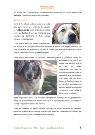 RAFEIRO DO ALENTEJO
VERA LÚCIA GIL INÁCIO
Curso Auxiliar Veterinária • O Cão – Origem e classificação biológica 8
Um animal com cruzamentos de consanguinidade ou cruzado com outra espécie não
poderá ser considerado um Rafeiro do Alentejo.
Comportamento
Como já foi referido anteriormente, é um cão
ideal para manter em ambiente de trabalho
como cão de guarda ou em ambiente doméstico
como cão familiar. É um cão inteligente cujo
adestramento geralmente é feito quando
colocado com outros cães.
É um animal tranquilo, zeloso, autoconfiante,
que aceitou a sua posição como animal doméstico e quando bem tratado exterioriza um
forte entusiasmo na aproximação do dono e família. Vive feliz em ambiente social com
cães ou com outros animais (por exemplo gado).
Existe alguma preocupação por parte dos criadores em manter o cuidado na criação dos
animais dentro da raça. O que
motiva esta escolha deve-se
ao risco de realizar
cruzamentos com cães de
temperamentos diferentes ou
instáveis. É uma preocupação
e um perigo real, visto que o
Rafeiro do Alentejo trata-se de
um cão dócil, comportamento
que não poderá ser garantido
no cruzamento com cães de
diferente personalidade.
O mesmo problema aplica-se a doenças e alterações na morfologia do cão, podendo este
perder as características que fazem dele o que é, deteriorando assim a qualidade da
criação e a qualidade de vida dos animais.
Passa por conservar um legado nacional, uma raça de grande qualidade, de confiança,
com uma personalidade notável de uma profunda lealdade e capacidade de trabalho, que
por estas e muitas outras razões merece ser protegida.
 
