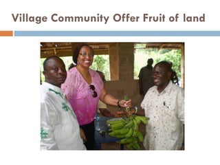 Village Community Offer Fruit of land
 