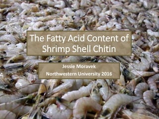 The Fatty Acid Content of
Shrimp Shell Chitin
Jessie Moravek
Northwestern University 2016
 