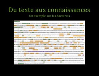 Du texte aux connaissances
Un exemple sur les bacteries
 