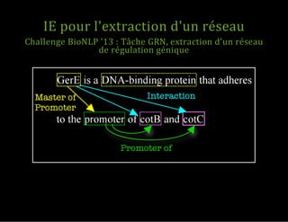 IE pour l'extraction d'un réseau
Challenge BioNLP '13 : Tâche GRN, extraction d'un réseau
de régulation génique
 