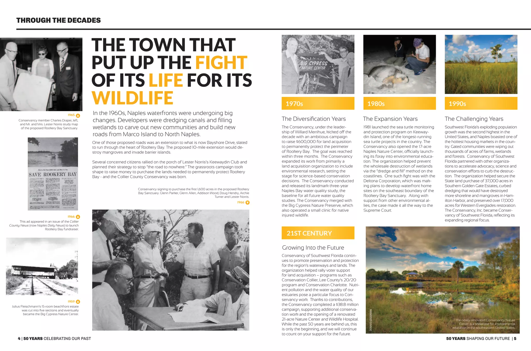 4 | 50 years celebrating our past 50 years shaping our future | 5
through the decades
The Town that
Put Up the Fight
of its Life for its
Wildlife
One of those proposed roads was an extension to what is now Bayshore Drive, slated
to run through the heart of Rookery Bay. The proposed 10-mile extension would de-
stroy mangroves and invade barrier islands.
Several concerned citizens rallied on the porch of Lester Norris’s Keewaydin Club and
planned their strategy to stop “the road to nowhere.” The grassroots campaign took
shape to raise money to purchase the lands needed to permanently protect Rookery
Bay - and the Collier County Conservancy was born.
Conservancy member Charles Draper, left,
and Mr. and Mrs. Lester Norris study map
of the proposed Rookery Bay Sanctuary.
Conservancy signing to purchase the first 1,600 acres in the proposed Rookery
Bay Sanctuary. Glenn Parker, Glenn Allen, Addison Wood, Doug Hendry, Archie
Turner and Lester Norris.
This ad appeared in an issue of the Collier
County News (now Naples Daily News) to launch
Rookery Bay fundraiser.
The newly-renovated Conservancy Nature
Center is a showcase for environmental
education in the southeastern United States.
Julius Fleischmann’s 15-room beachfront estate
was cut into five sections and eventually
became the Big Cypress Nature Center.
The Diversification Years
Growing Into the Future
In the 1960s, Naples waterfronts were undergoing big
changes. Developers were dredging canals and filling
wetlands to carve out new communities and build new
roads from Marco Island to North Naples.
The Expansion Years The Challenging Years
The Conservancy, under the leader-
ship of Willard Merrihue, kicked off the
decade with an ambitious campaign
to raise $600,000 for land acquisition
to permanently protect the perimeter
of Rookery Bay. The goal was reached
within three months. The Conservancy
expanded its work from primarily a
land acquisition organization to include
environmental research, setting the
stage for science-based conservation
decisions. The Conservancy conducted
and released its landmark three-year
Naples Bay water quality study, the
baseline for all future water quality
studies. The Conservancy merged with
the Big Cypress Nature Preserve, which
also operated a small clinic for native
injured wildlife.
Conservancy of Southwest Florida contin-
ues to promote preservation and protection
for the region’s waterways and lands. The
organization helped rally voter support
for land acquisition – programs such as
Conservation Collier, Lee County’s 20/20
program and Conservation Charlotte. Nutri-
ent pollution and the water quality of our
estuaries pose a particular focus to Con-
servancy work. Thanks to contributions,
the Conservancy completed a $38.8 million
campaign, supporting additional conserva-
tion work and the opening of a renovated
21-acre Nature Center and Wildlife Hospital.
While the past 50 years are behind us, this
is only the beginning, and we will continue
to count on your support for the future.
1981 launched the sea turtle monitoring
and protection program on Keeway-
din Island, one of the longest-running
sea turtle projects in the country. The
Conservancy also opened the 17-acre
Naples Nature Center, officially launch-
ing its foray into environmental educa-
tion. The organization helped prevent
the wholesale destruction of wetlands
via the “dredge and fill” method on the
coastlines. One such fight was with the
Deltona Corporation, which was mak-
ing plans to develop waterfront home
sites on the southeast boundary of the
Rookery Bay Sanctuary. Along with
support from other environmental al-
lies, the case made it all the way to the
Supreme Court.
Southwest Florida’s exploding population
growth was the second highest in the
United States, and Naples boasted one of
the hottest housing markets in the coun-
try. Gated communities were wiping out
thousands of acres of farms, wetlands
and forests. Conservancy of Southwest
Florida partnered with other organiza-
tions to accelerate advocacy, science and
conservation efforts to curb the destruc-
tion. The organization helped secure the
State land purchase of 37,000 acres in
Southern Golden Gate Estates, curbed
dredging that would have destroyed
more shoreline and mangroves in Ham-
ilton Harbor, and preserved over 17,000
acres for Western Everglades restoration.
The Conservancy, Inc. became Conser-
vancy of Southwest Florida, reflecting its
expanding regional focus.
1970s 1980s 1990s
21st Century
1965
1966
1966
1959
DENNISGOODMAN
 