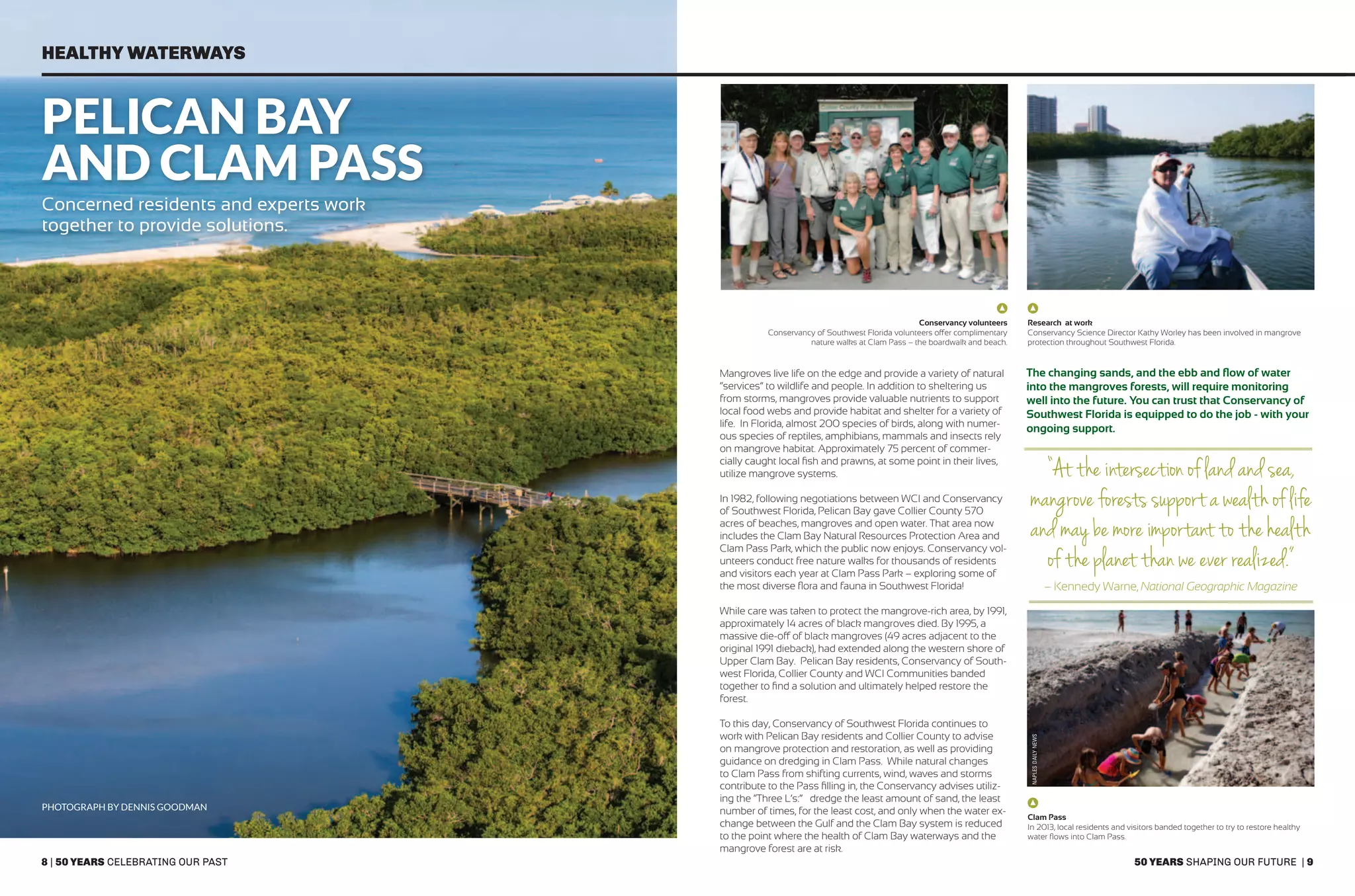 8 | 50 years celebrating our past 50 years shaping our future | 9
healthy waterways
Pelican Bay
and Clam Pass
Concerned residents and experts work
together to provide solutions.
Mangroves live life on the edge and provide a variety of natural
“services” to wildlife and people. In addition to sheltering us
from storms, mangroves provide valuable nutrients to support
local food webs and provide habitat and shelter for a variety of
life. In Florida, almost 200 species of birds, along with numer-
ous species of reptiles, amphibians, mammals and insects rely
on mangrove habitat. Approximately 75 percent of commer-
cially caught local fish and prawns, at some point in their lives,
utilize mangrove systems.
In 1982, following negotiations between WCI and Conservancy
of Southwest Florida, Pelican Bay gave Collier County 570
acres of beaches, mangroves and open water. That area now
includes the Clam Bay Natural Resources Protection Area and
Clam Pass Park, which the public now enjoys. Conservancy vol-
unteers conduct free nature walks for thousands of residents
and visitors each year at Clam Pass Park – exploring some of
the most diverse flora and fauna in Southwest Florida!
While care was taken to protect the mangrove-rich area, by 1991,
approximately 14 acres of black mangroves died. By 1995, a
massive die-off of black mangroves (49 acres adjacent to the
original 1991 dieback), had extended along the western shore of
Upper Clam Bay. Pelican Bay residents, Conservancy of South-
west Florida, Collier County and WCI Communities banded
together to find a solution and ultimately helped restore the
forest.
To this day, Conservancy of Southwest Florida continues to
work with Pelican Bay residents and Collier County to advise
on mangrove protection and restoration, as well as providing
guidance on dredging in Clam Pass. While natural changes
to Clam Pass from shifting currents, wind, waves and storms
contribute to the Pass filling in, the Conservancy advises utiliz-
ing the “Three L’s:” dredge the least amount of sand, the least
number of times, for the least cost, and only when the water ex-
change between the Gulf and the Clam Bay system is reduced
to the point where the health of Clam Bay waterways and the
mangrove forest are at risk.
Conservancy volunteers
Conservancy of Southwest Florida volunteers offer complimentary
nature walks at Clam Pass – the boardwalk and beach.
Research at work
Conservancy Science Director Kathy Worley has been involved in mangrove
protection throughout Southwest Florida.
Clam Pass
In 2013, local residents and visitors banded together to try to restore healthy
water flows into Clam Pass.
photograph by Dennis goodman
“At the intersection of land and sea,
mangrove forests support a wealth of life
and may be more important to the health
of the planet than we ever realized.”
– Kennedy Warne, National Geographic Magazine
The changing sands, and the ebb and flow of water
into the mangroves forests, will require monitoring
well into the future. You can trust that Conservancy of
Southwest Florida is equipped to do the job - with your
ongoing support.
naplesdailynews
 