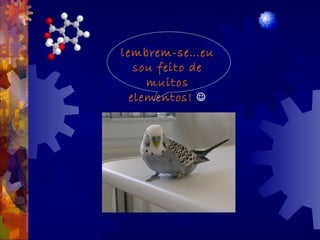 lembrem-se…eu
sou feito de
muitos
elementos! 
 