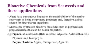 944065392-Marine-Bioprospecting & bioactive compounds.pptx