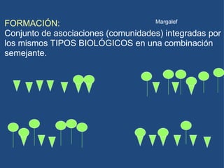 FORMACIÓN: Conjunto de asociaciones (comunidades) integradas por los mismos TIPOS BIOLÓGICOS en una combinación semejante. Margalef 