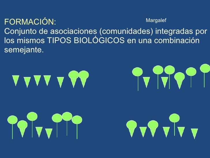 TIPOS BIOLÓGICOS TIPOS BIOLÓGICOS