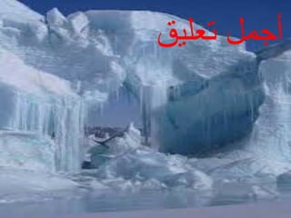 ‫أجمل تعليق‬

 