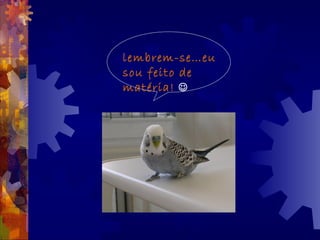 lembrem-se…eu
sou feito de
matéria! 
 