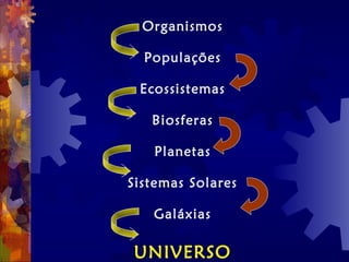 Organismos
Populações
Ecossistemas
Biosferas
Planetas
Sistemas Solares
Galáxias
UNIVERSO
 