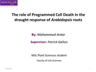 The role of Programmed Cell Death in the
drought response of Arabidopsis roots
By: Mohammed Antar
MSc Plant Sciences student
Faculty of Life Sciences
Supervisor: Patrick Gallois
8/4/2015 1
 