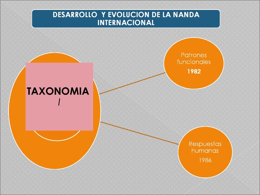 Actualización taxonomía II Nanda CICATSALUD