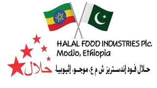 HALAL FOOD INDUSTRIES Plc.
Modjo, Ethiopia
 