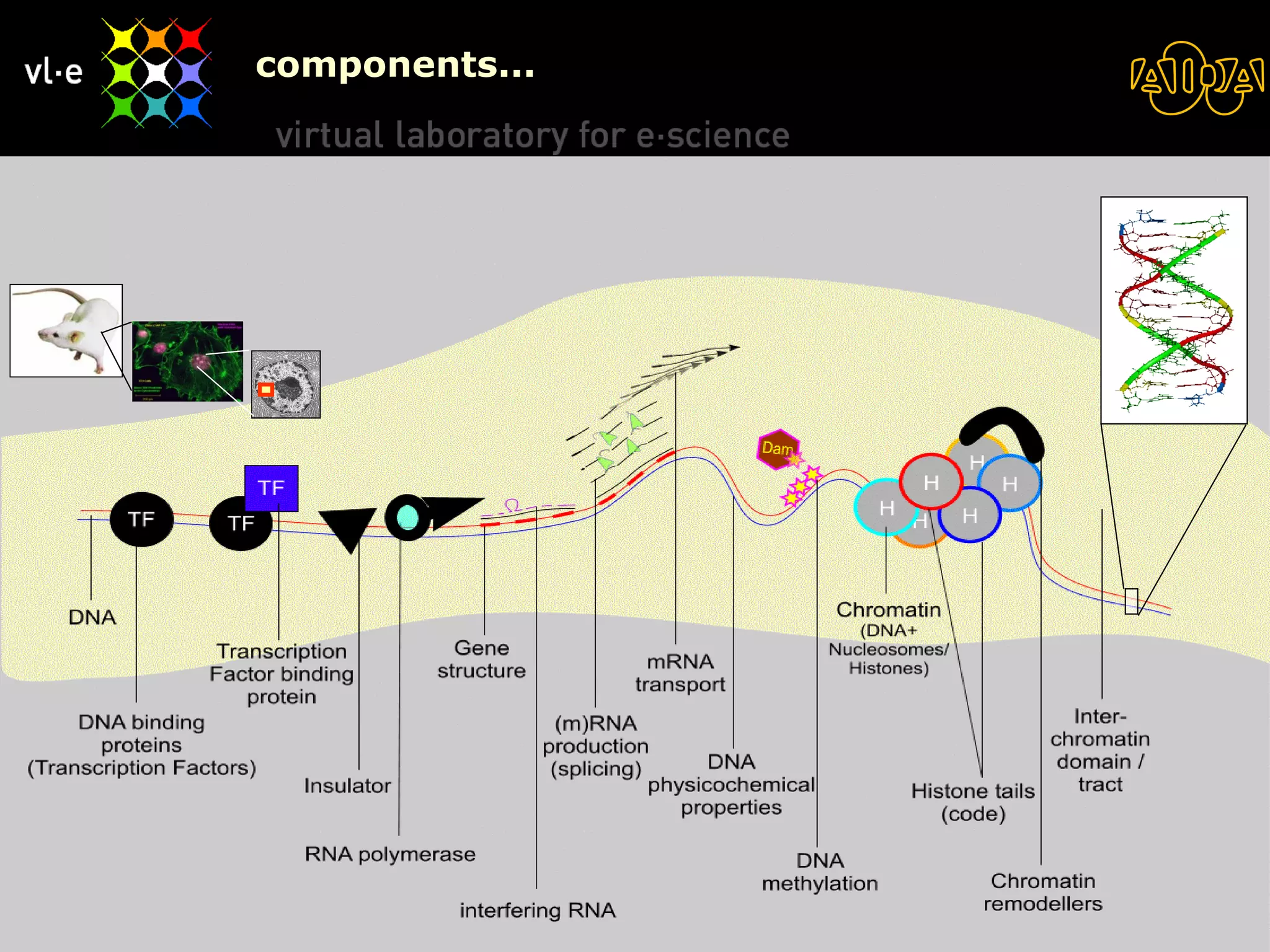 components... 08/06/09 BioAID 
