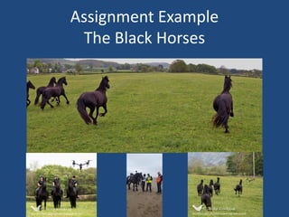 Assignment Example
The Black Horses
 