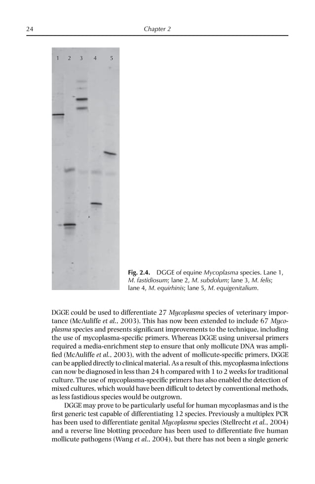 Mycoplasma Diseases of Ruminants First Edition Robin Nicholas | PDF