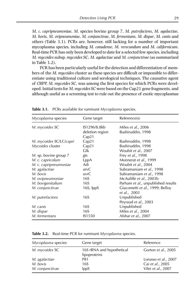 Mycoplasma Diseases of Ruminants First Edition Robin Nicholas | PDF