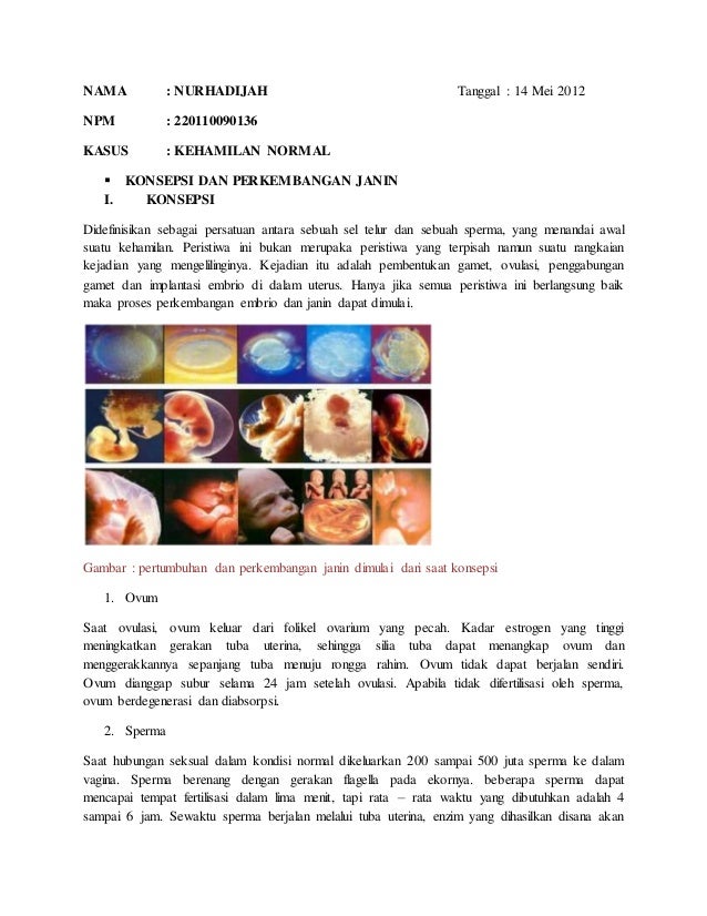 94854162 Anatomifisiologikehamilan