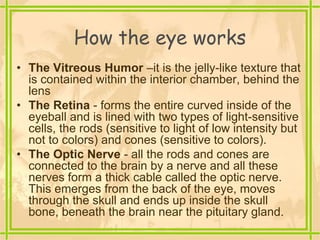 How the eye works
• The Vitreous Humor –it is the jelly-like texture that
is contained within the interior chamber, behind the
lens
• The Retina - forms the entire curved inside of the
eyeball and is lined with two types of light-sensitive
cells, the rods (sensitive to light of low intensity but
not to colors) and cones (sensitive to colors).
• The Optic Nerve - all the rods and cones are
connected to the brain by a nerve and all these
nerves form a thick cable called the optic nerve.
This emerges from the back of the eye, moves
through the skull and ends up inside the skull
bone, beneath the brain near the pituitary gland.
 