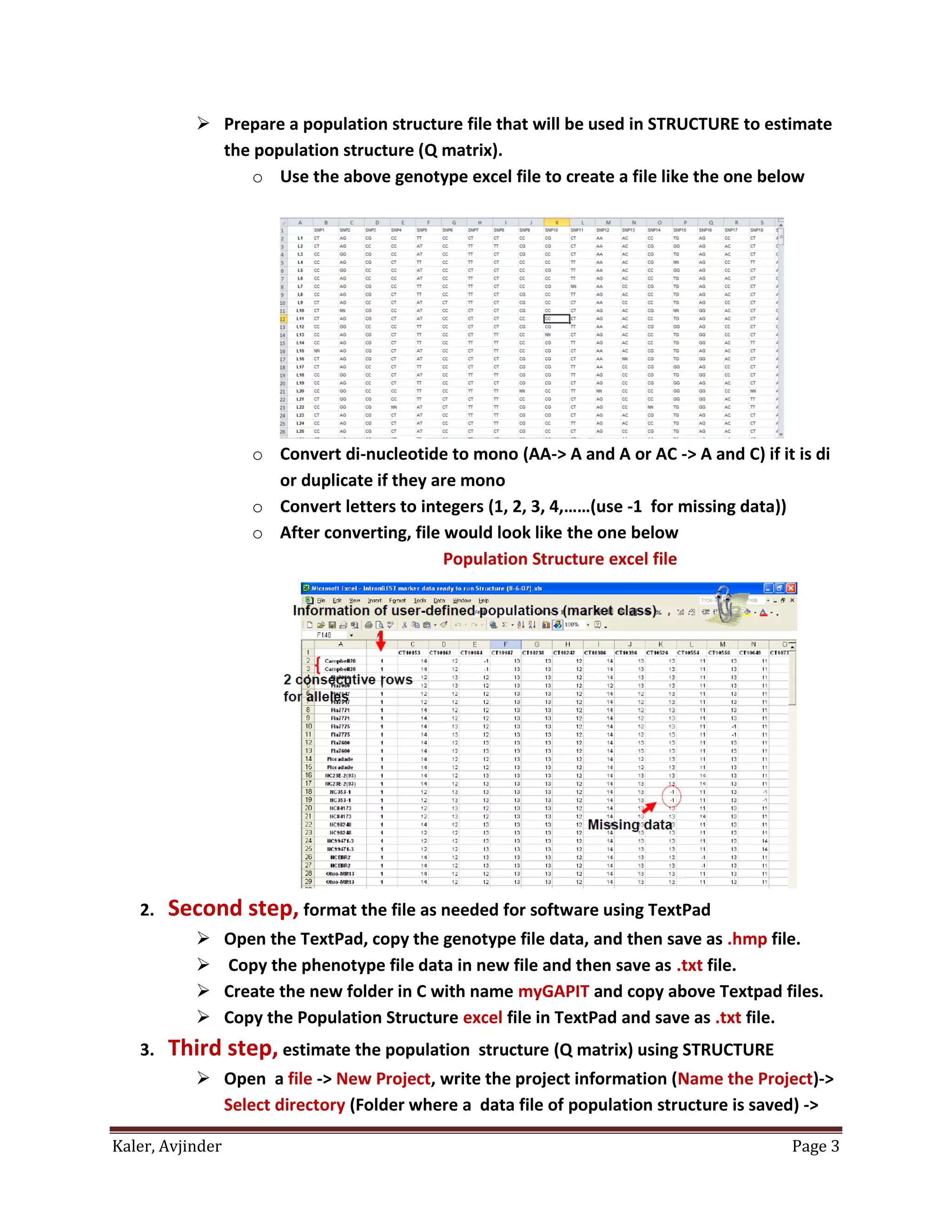 Kaler, Avjinder Page 3
 Prepare a population structure file that will be used in STRUCTURE to estimate
the population structure (Q matrix).
o Use the above genotype excel file to create a file like the one below
o Convert di-nucleotide to mono (AA-> A and A or AC -> A and C) if it is di
or duplicate if they are mono
o Convert letters to integers (1, 2, 3, 4,……(use -1 for missing data))
o After converting, file would look like the one below
Population Structure excel file
2. Second step, format the file as needed for software using TextPad
 Open the TextPad, copy the genotype file data, and then save as .hmp file.
 Copy the phenotype file data in new file and then save as .txt file.
 Create the new folder in C with name myGAPIT and copy above Textpad files.
 Copy the Population Structure excel file in TextPad and save as .txt file.
3. Third step, estimate the population structure (Q matrix) using STRUCTURE
 Open a file -> New Project, write the project information (Name the Project)->
Select directory (Folder where a data file of population structure is saved) ->
 