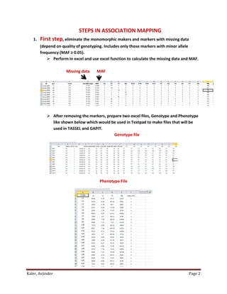 Kaler, Avjinder Page 2
STEPS IN ASSOCIATION MAPPING
1. First step, eliminate the monomorphic makers and markers with missing data
(depend on quality of genotyping. Includes only those markers with minor allele
frequency (MAF ≥ 0.05).
 Perform in excel and use excel function to calculate the missing data and MAF.
Missing data MAF
 After removing the markers, prepare two excel files, Genotype and Phenotype
like shown below which would be used in Textpad to make files that will be
used in TASSEL and GAPIT.
Genotype file
Phenotype File
 
