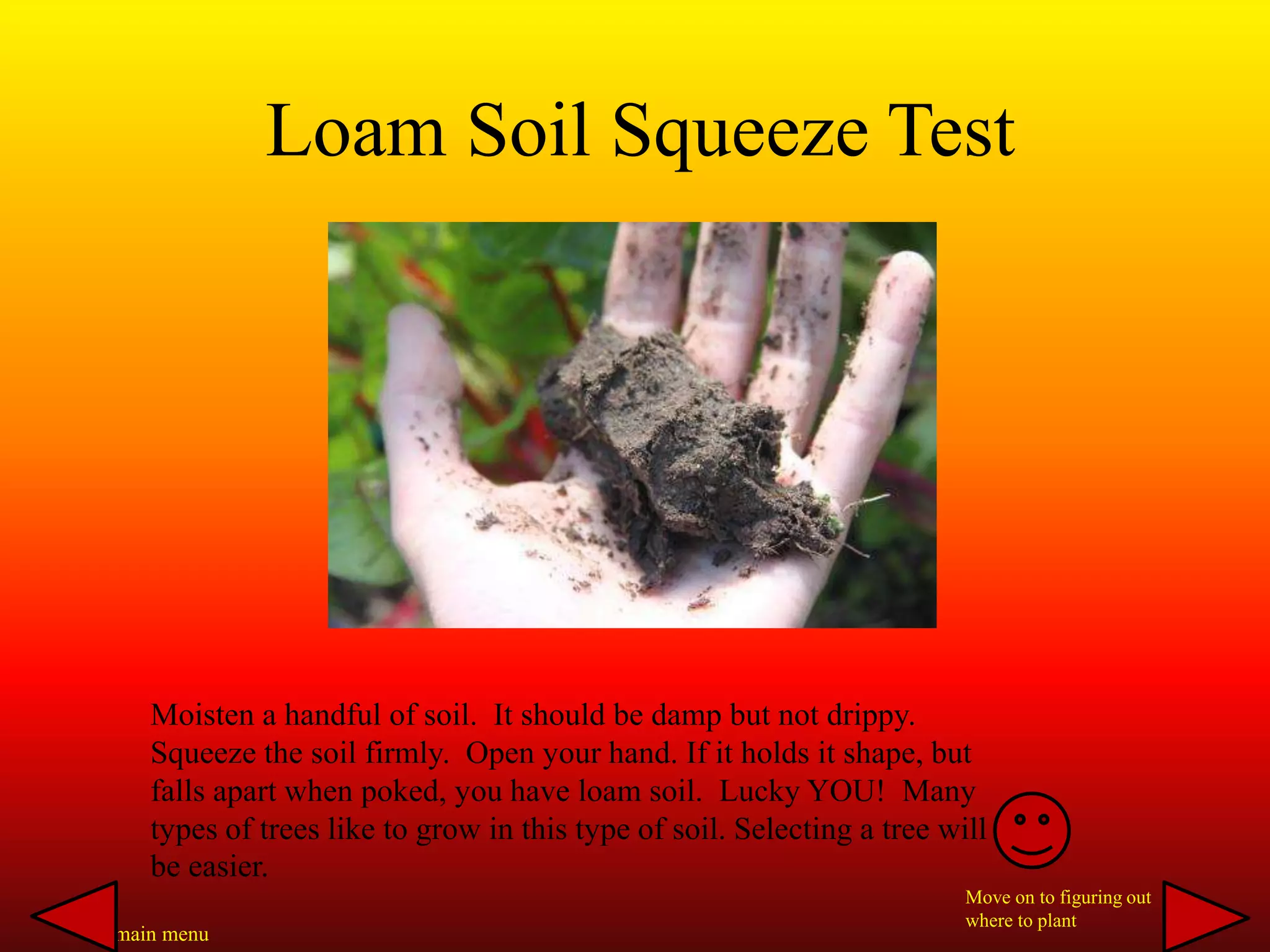 Moisten a handful of soil. It should be damp but not drippy.
Squeeze the soil firmly. Open your hand. If it holds it shape, but
falls apart when poked, you have loam soil. Lucky YOU! Many
types of trees like to grow in this type of soil. Selecting a tree will
be easier.
Loam Soil Squeeze Test
Move on to figuring out
where to plant
To main menu
 
